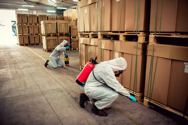 Wildlife Control Services in North Aurora, IL