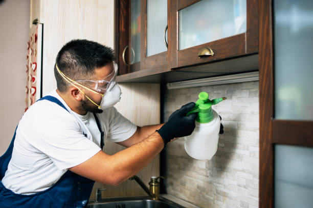  North Aurora, IL Pest Control Pros
