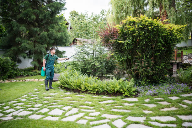 Best Pest Removal Services  in North Aurora, IL
