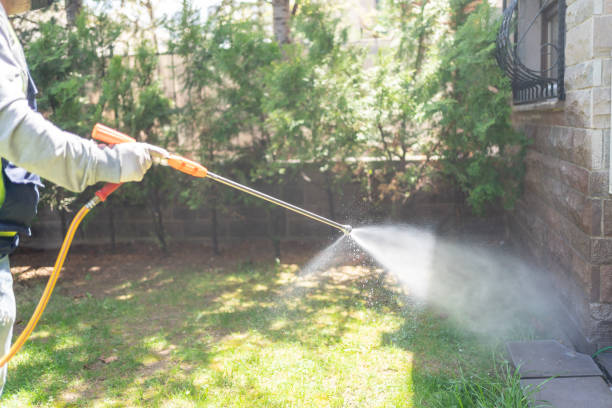 Best Local Pest Control Services  in North Aurora, IL