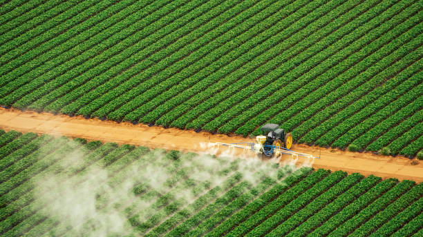 Best Mosquito Control Services  in North Aurora, IL