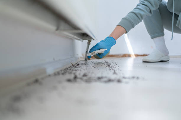 Best Commercial Pest Control Services  in North Aurora, IL